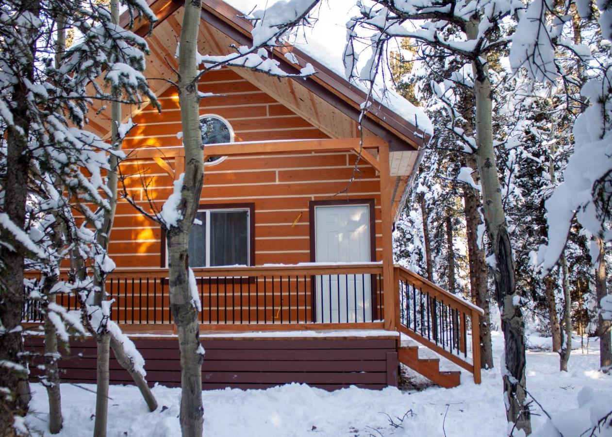 Denali Wild Stay - Redfox Cabin, Free Wifi, Private, Sleep 6 Healy Exterior photo