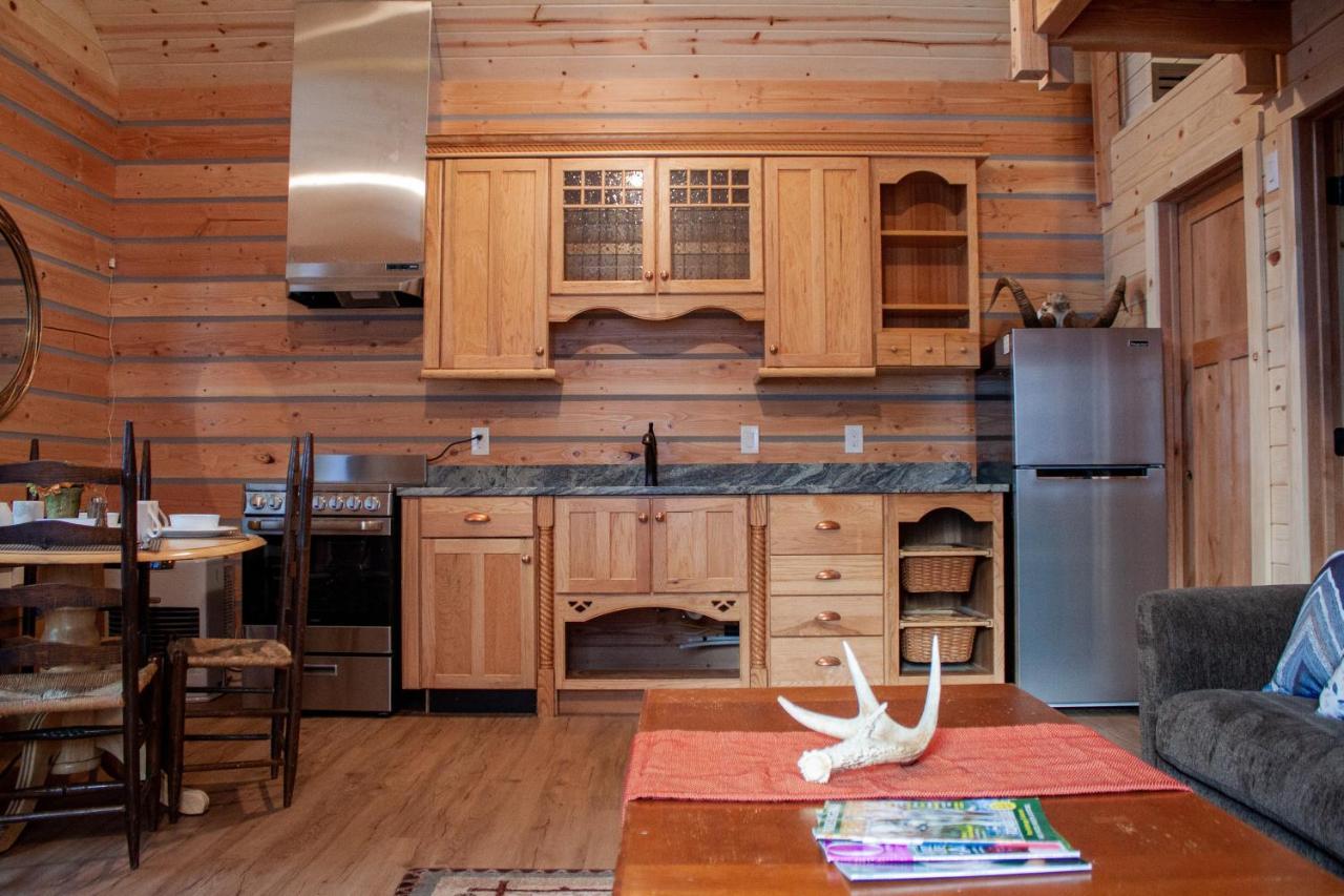 Denali Wild Stay - Redfox Cabin, Free Wifi, Private, Sleep 6 Healy Exterior photo